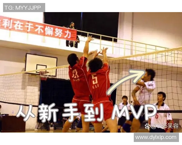 广州排球队团队协作深度分析与其他球队的对比研究