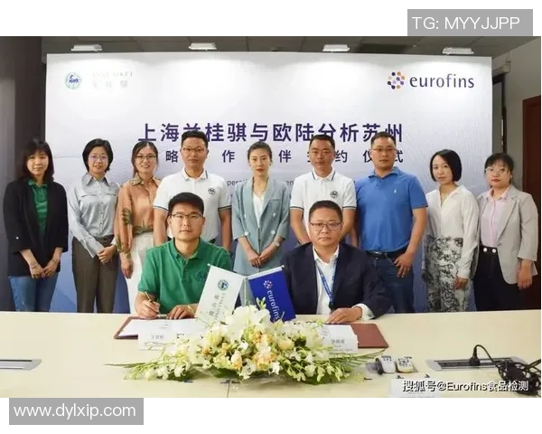 深圳足球队耐力揭秘：从训练到比赛的全方位探索与分析