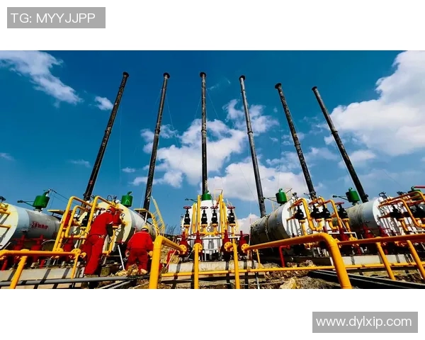 重磅专题:探索LNG产业链中的盯防技术革新与未来发展趋势