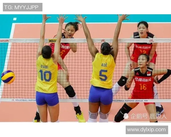 上海排球队个人能力分析与联赛表现评估探讨