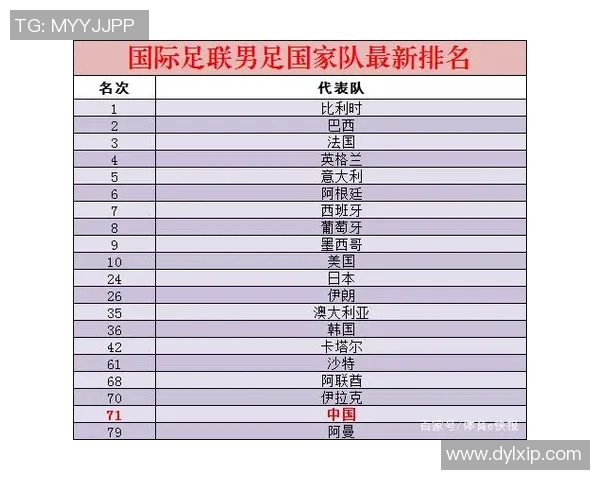 南京篮球队速度飙升最新排名揭晓TOP10球队一览