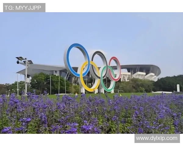 广州网球队耐力表现数据分析与训练策略探讨 广州网球队耐力表现数据分析与训练策略探讨