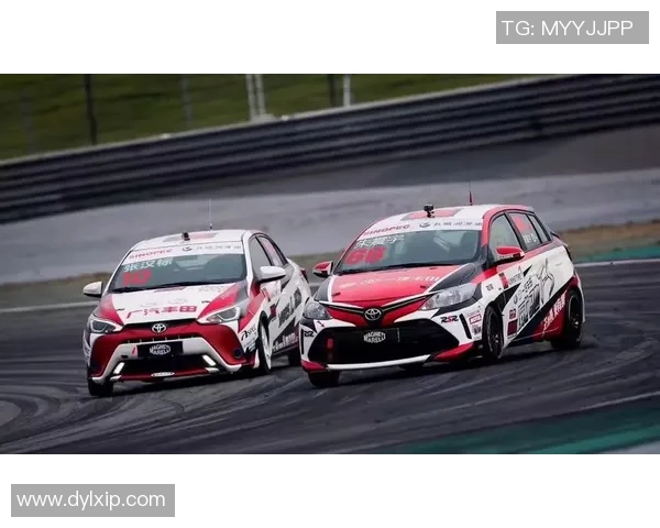 深入分析上海乒乓球队阵地战打法的战术特点与应用策略