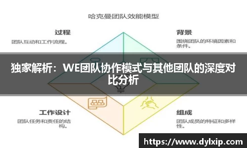 独家解析：WE团队协作模式与其他团队的深度对比分析