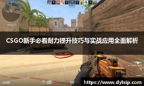 CSGO新手必看耐力提升技巧与实战应用全面解析