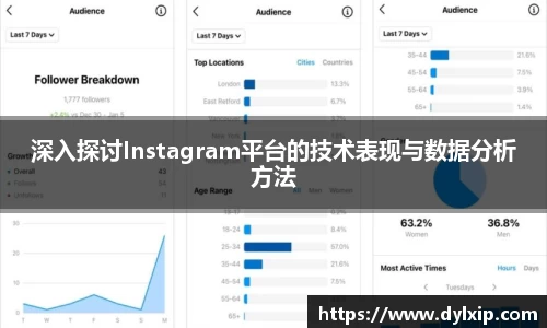 深入探讨Instagram平台的技术表现与数据分析方法